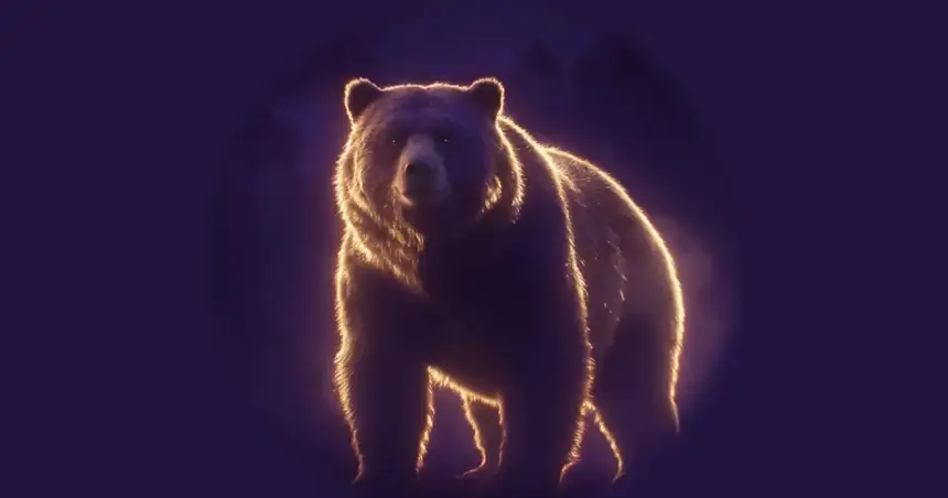 The Sonflower and the Bear